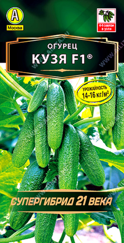 Огурец Кузя F1 ®,       10 сем