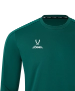 Джемпер тренировочный DIVISION PerFormDRY Pro Training Top, темно-зеленый