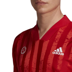 Мужская теннисная футболка Adidas Freelift Tee ENG M - scarlet/white