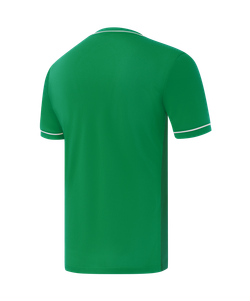 Футболка игровая Jogel DIVISION PerFormDRY Element Jersey 26, зеленый 72