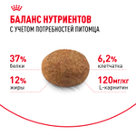 Royal Canin Sterilised 37 Стерилайзд Корм сухой для взрослых стерилизованных кошек в возрасте от 1 года до 7 лет 400г