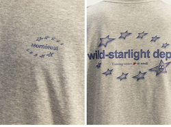 Лонгслив Nothomme Monterest Wild-Starlight Dept серый