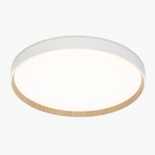 Потолочный светодиодный светильник Citilux Etalon CL750400R