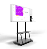 Интерактивная панель Storm S Mini 43" (с документ камерой)