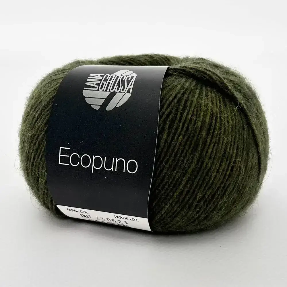 ECOPUNO Lana Grossa 01