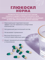 Глюкосил Норма, 120 капс Поддержка здоровья при сахарном диабете и метаболическом синдроме