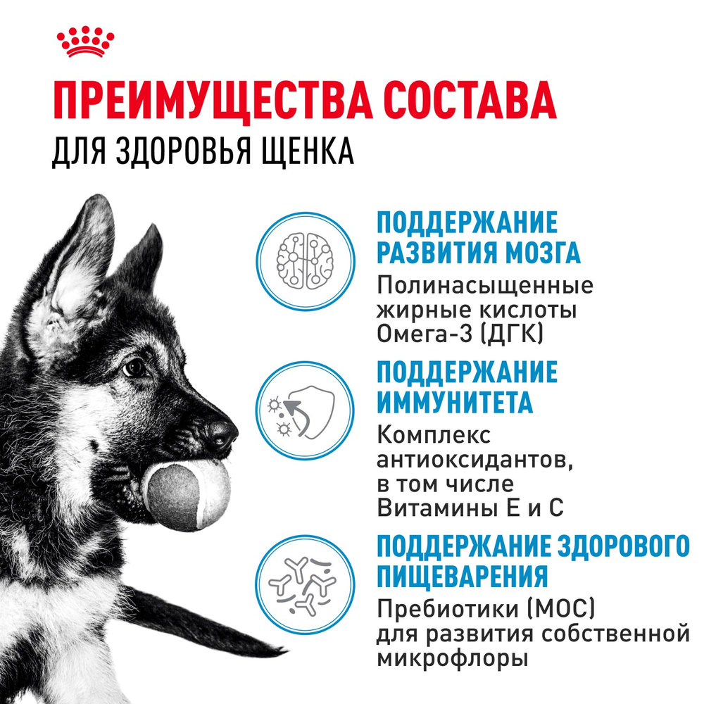 Royal Canin Maxi Puppy Макси Паппи Влажный корм для щенков крупных пород в возрасте до 15 месяцев 100г