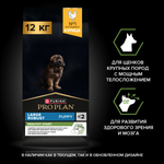Сухой корм PRO PLAN HEALTHY START для щенков крупных пород с мощным телосложением курица 12 кг