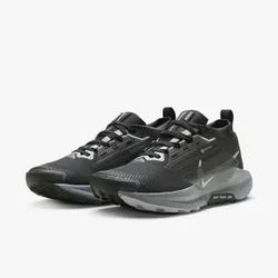 Кроссовки женские NIKE Pegasus Trail 5 GORE-TEX