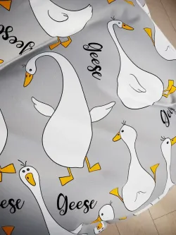 Постельное белье детское поплин Сказка "Гусь обнимусь на сером/Гусь обнимусь (компаньон)"