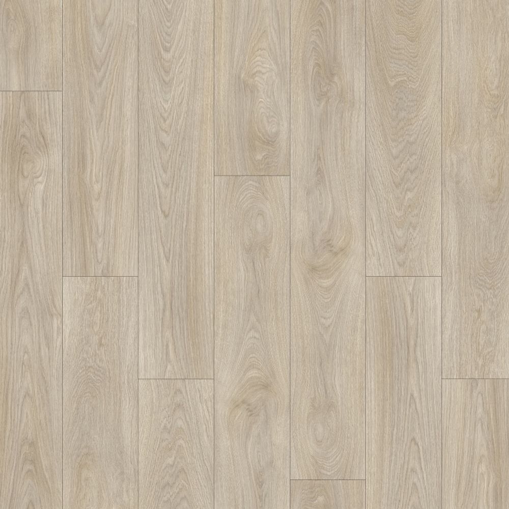 Laurel Oak 51222