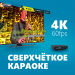 Evolution Evobox + 2 радиомикрофона + 2 колонки