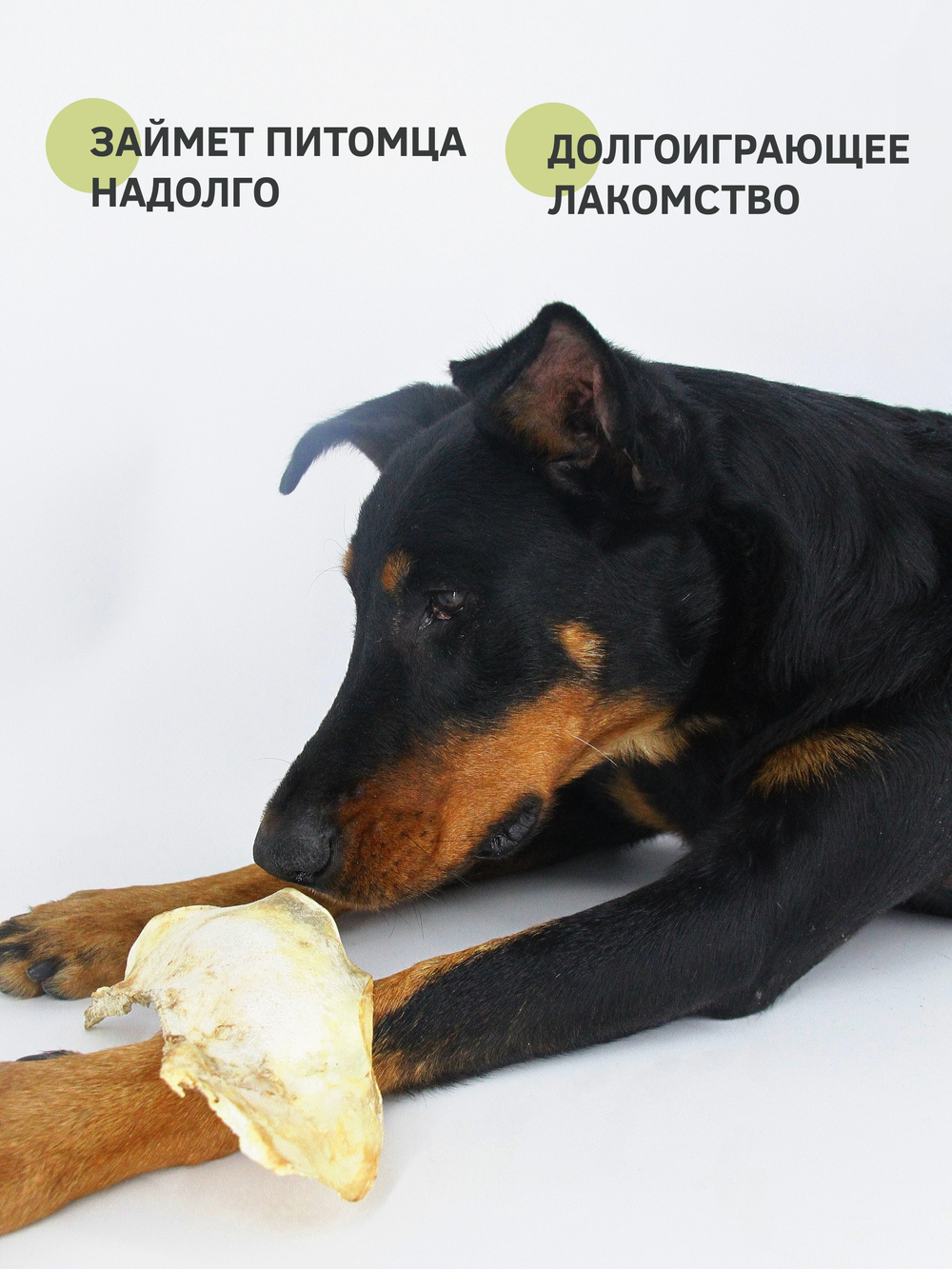 Говяжий лопаточный хрящ (средний) — лакомство для собак, 1 шт