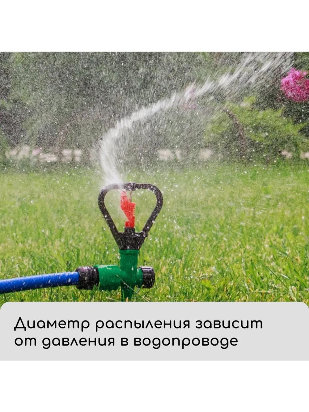 Распылитель для воды на шланг для полива лепестковый