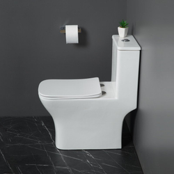 Унитаз-моноблок безободковый с сиденьем микролифт BelBagno NEON BB8617CPR-MN/SC