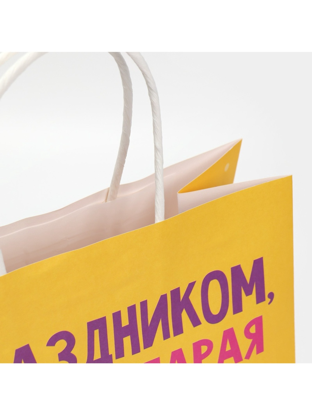 Пакет подарочный «Старая клюшка», 22 х 22 х 11 см