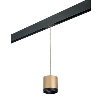 Комплект со светильником 1*GХ53 220V PRORP34903487 золото/чёрный Rullo Pro Lightstar