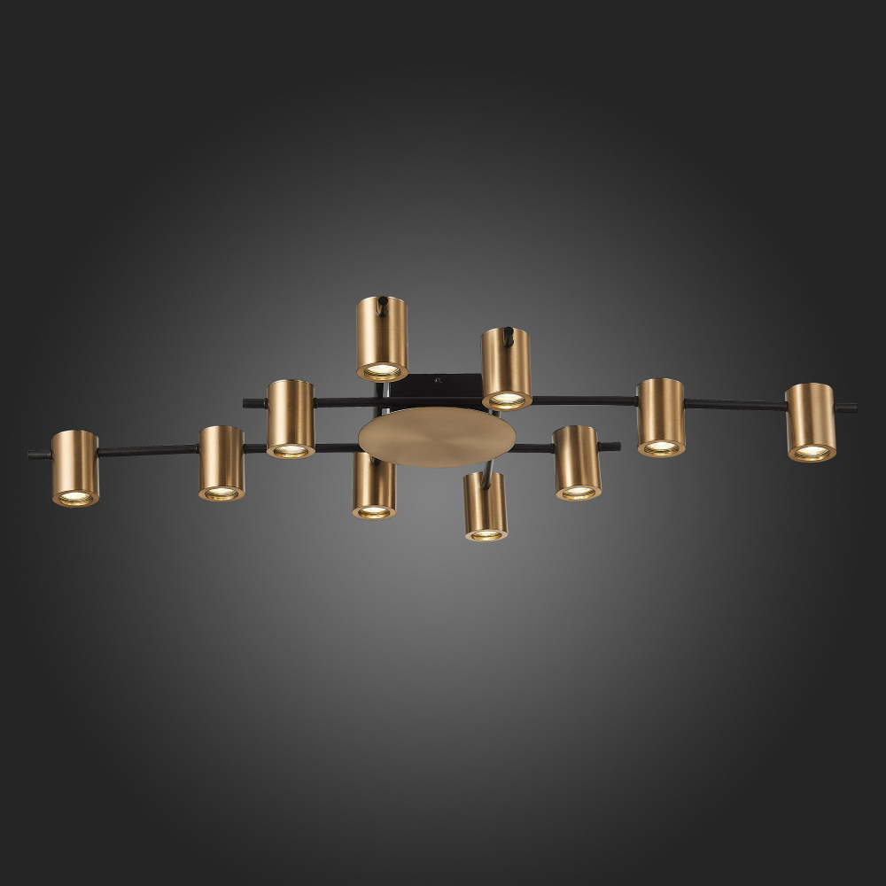 Светильник потолочный ST Luce Veroli SL1207.402.10