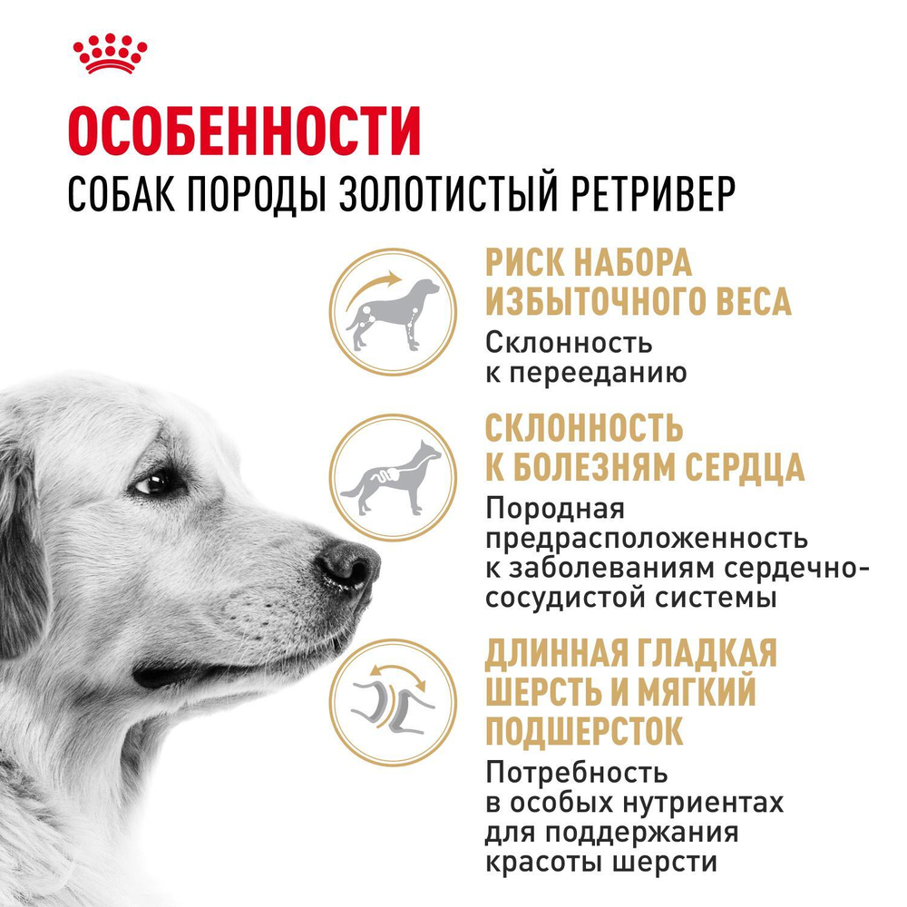 Royal Canin Golden Retriever Голден (золотой) Ретривер Эдалт Корм сухой для взрослых собак породы Голден Ретривер 12кг