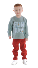 Свитшот трикотажный для мальчика 2-8 лет Fleur de Vie