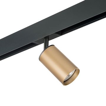 Комплект со светильником 1*GU10 220V PRO440 золото Rullo Pro Lightstar