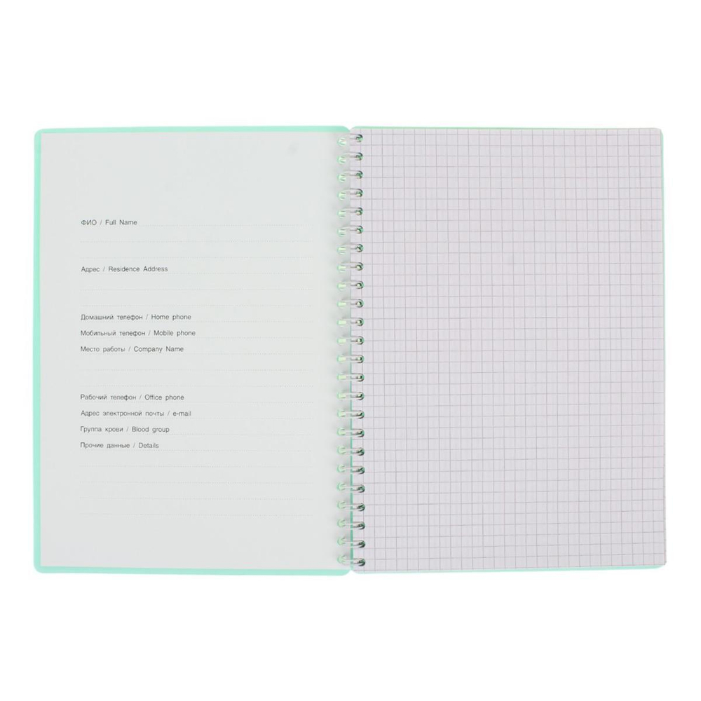 Тетрадь А5 80 л.клетка "Pastel Collection Mint" с пласт.обложкой, на гребне (ПОЛИНОМ)