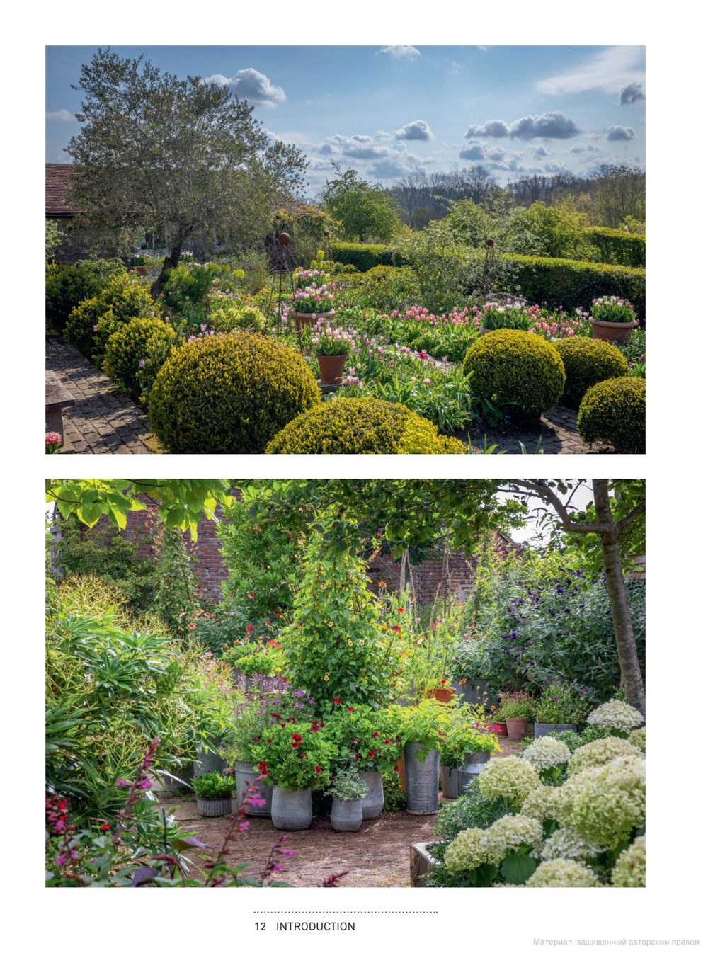 A Year Full of Pots: Container Flowers for All Seasons