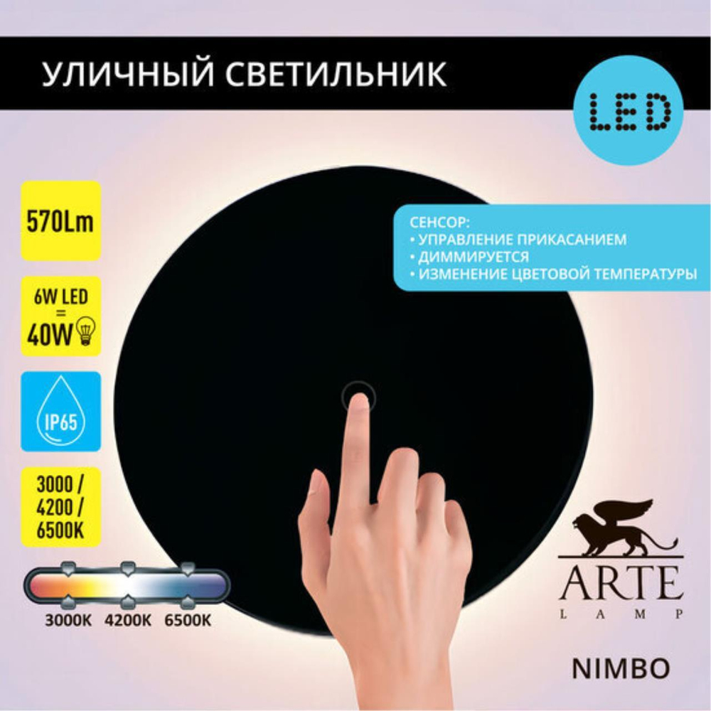 Уличный настенный светодиодный светильник Arte Lamp NIMBO A4506AL-1BK