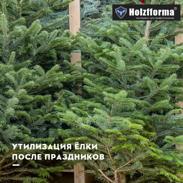Как правильно утилизировать елку после праздников? Как правильно утилизировать елку после праздников?