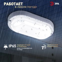 Светильник ЖКХ светодиодный ЭРА SPB-202-0-65K-015 P65 15Вт 6500K 195х95 овал | Светильники для ЖКХ IP65