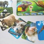 Игра настольная Мемо Удивительные животные, от 5 лет, карточная
