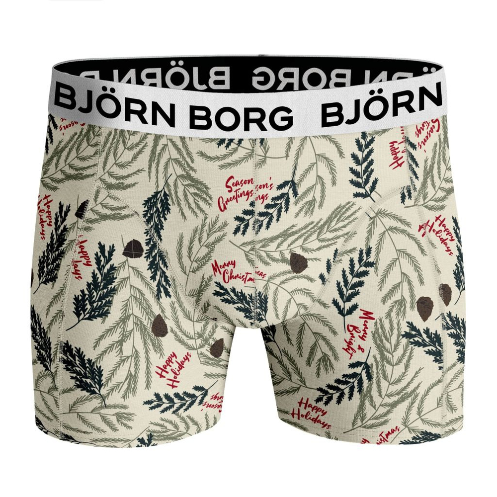 Мужские спортивные боксеры Bj_rn Borg Core Boxer 2P