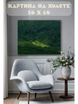 Картина на стену 40 X 50 Горный лес