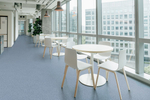 Линолеум полукоммерческий Profi Office Sonora 9, 3х26м (рулон)