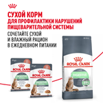 Royal Canin Digestive Care Дайджестив Кэа Корм сухой профилактика нарушений пищеварительной системы для взрослых кошек 10кг