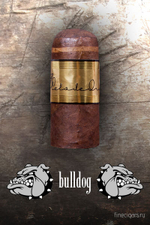 Pelo de Oro Bulldog