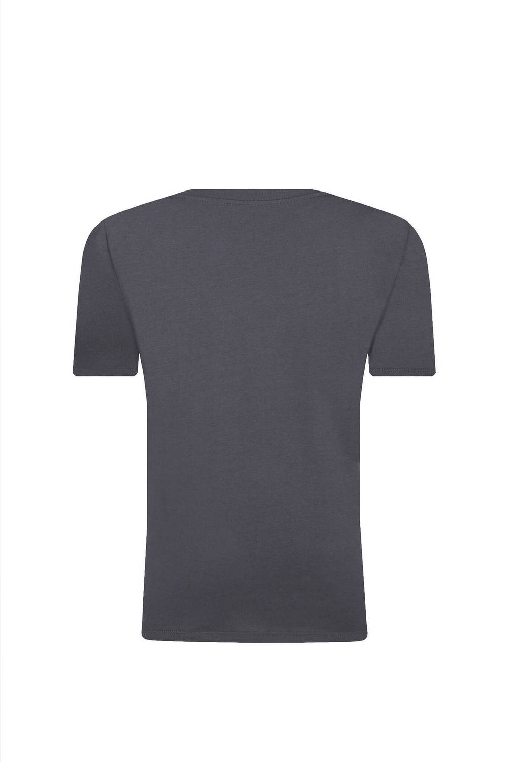 Футболка Pepe Jeans London - серый(PB503861)