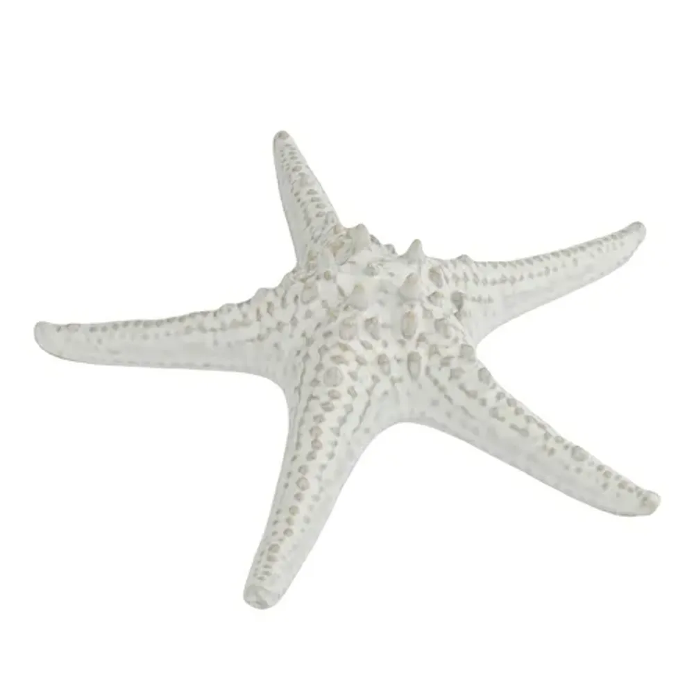 Блюдо для подачи 24 см h6 см для закусок Звезда Gray Starfish Frutti di Mare P.L. [1]