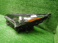 DSCN8672.JPG