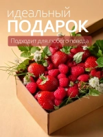Иван-чай ферментированный крупнолистовой с душицей и ягодами