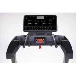 Беговая дорожка Sole F80