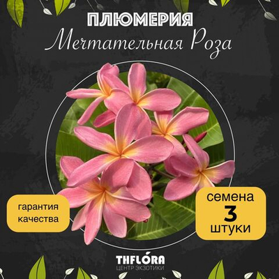Плюмерия "Мечтательная Роза" семена 3 штуки