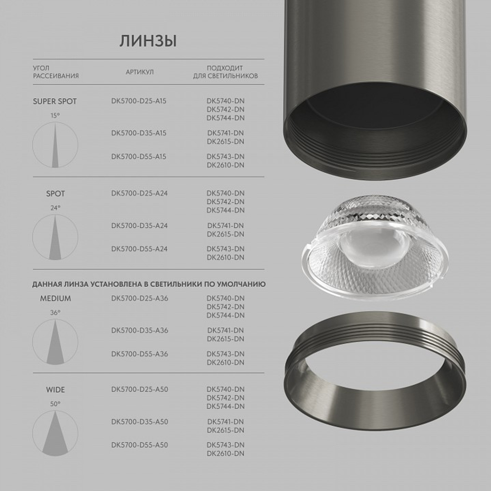 Накладной светильник Denkirs SHINE SPOT DK5743-DN
