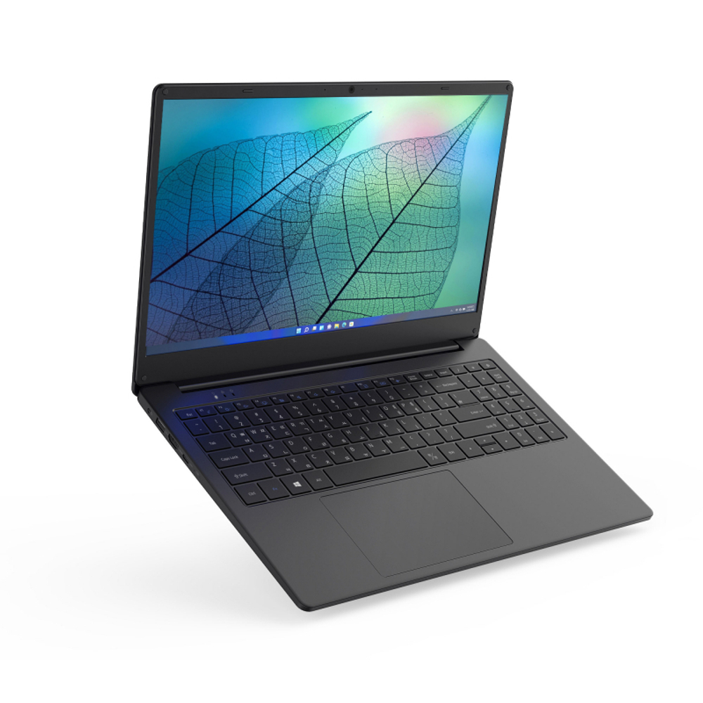 Ноутбук Hiper WORKBOOK A1568K (A1568K1035DS) Black Core i5-1035G1/8G/512G SSD/15.6" FHD IPS/WiFi/BT/DOS