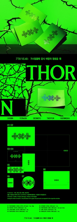 Альбом TXT - 7TH YEAR: A Moment of Stillness in the Thorns [THORN Ver.]