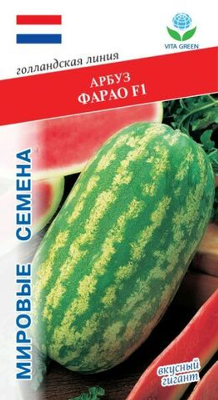 Арбуз Фарао F1 5шт Мировые Семена VITA GREEN