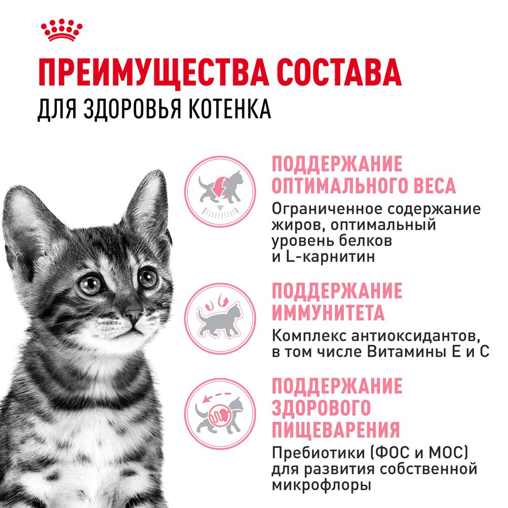 Сухой корм Royal Canin Kitten Sterilised для стерилизованных котят до 12 месяцев