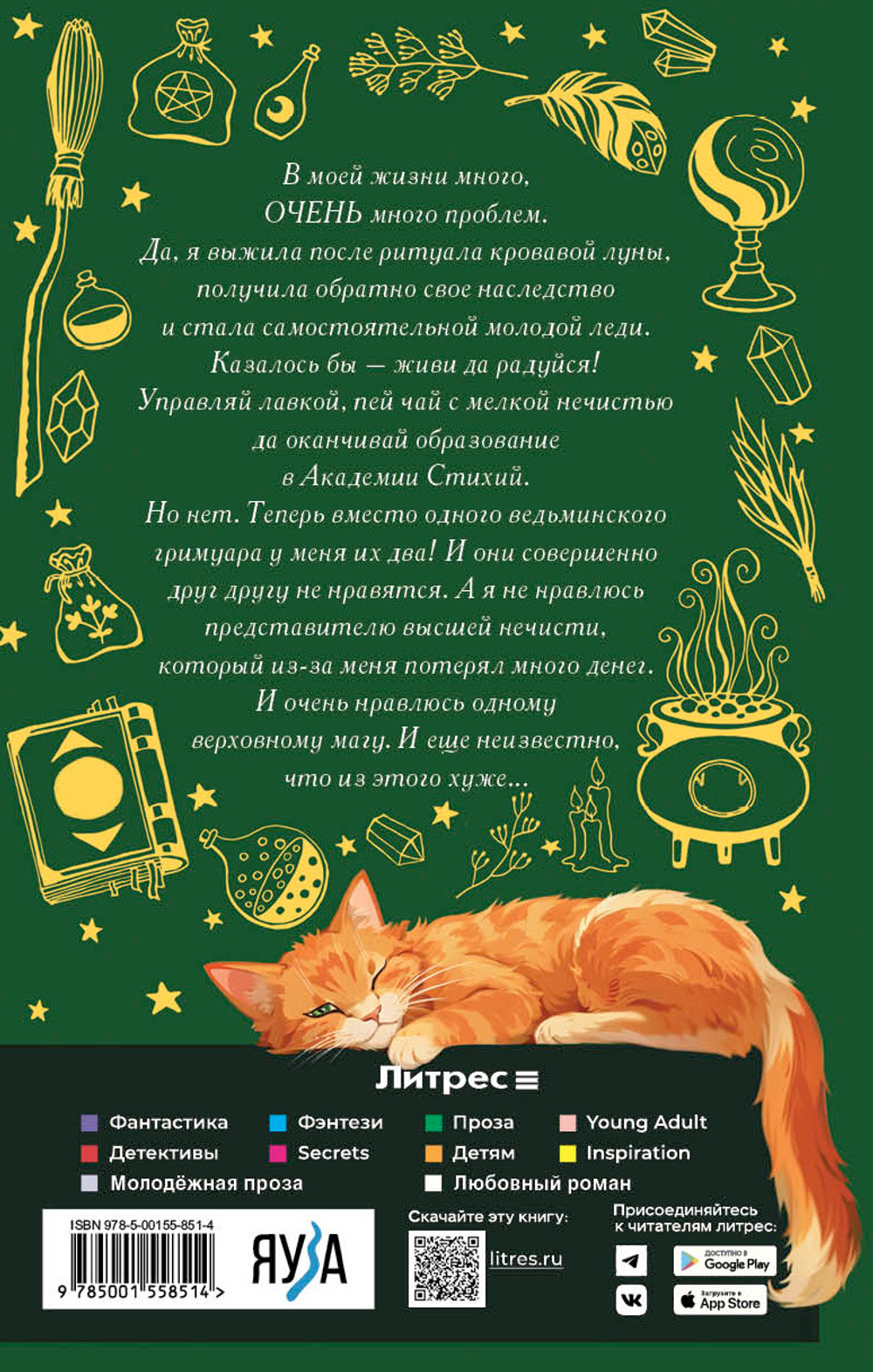Хозяйка магической лавки. Книга 3