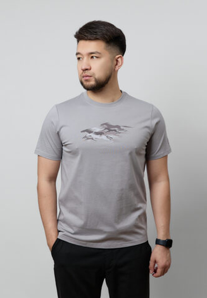 Футболка ARGYMAQTAR LIGHT GREY