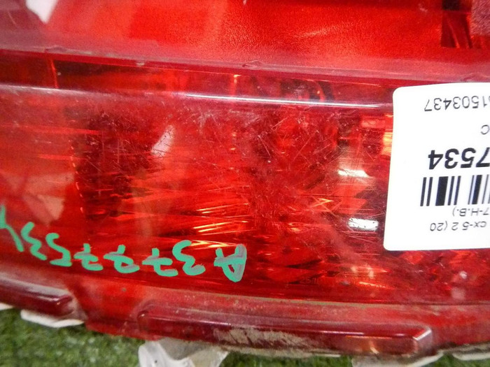 DSCN4148.jpg